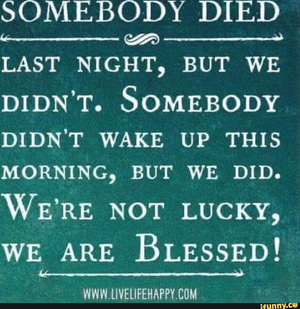 Woke up this morning перевод. Somebody die. Last Night we to Wake by. Someone will die of fun.