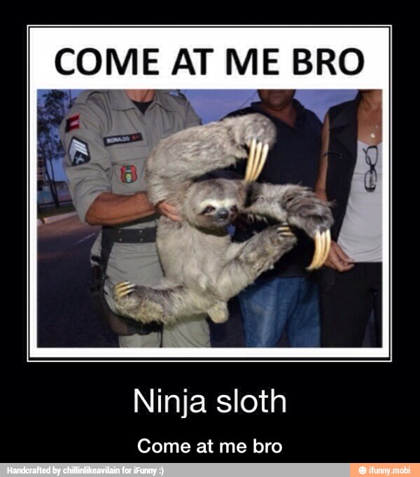 COME AT ME BRO
Ninja sloth
Come at me bro - Come at me bro