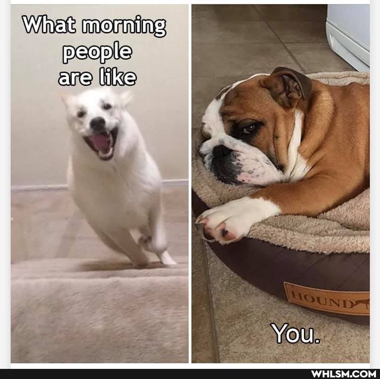 What morning people are like
You.