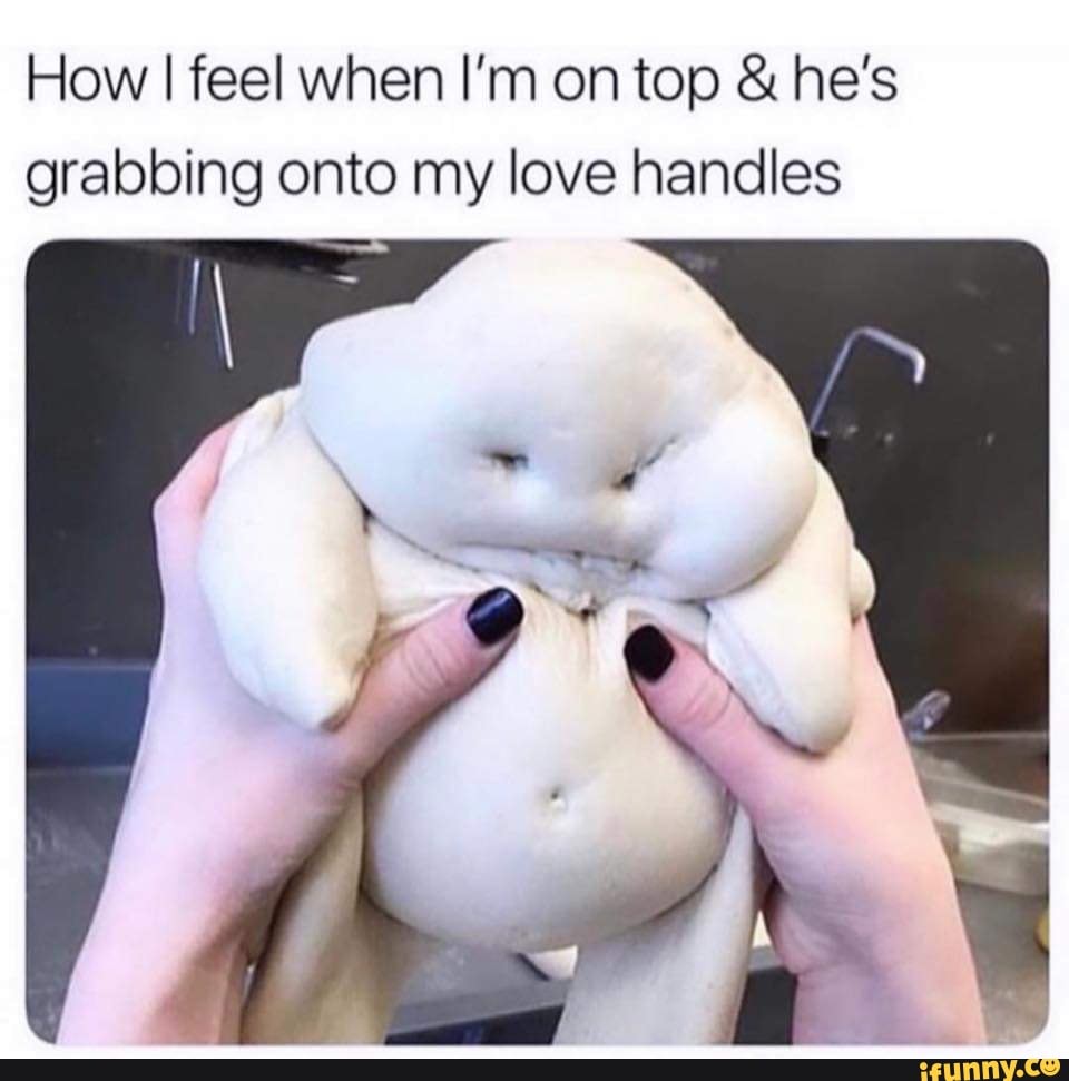 How I Feel When I M On Top He S Grabbing Onto My Love Handles