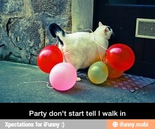 Party don't start tell I walk in - Party don't start tell I walk in