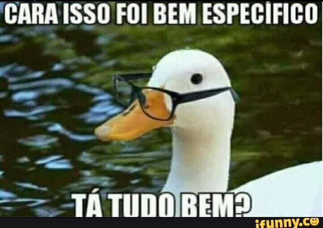 CARA ISSO FOI BEM ESPECIFICO
AI
TA TUDO