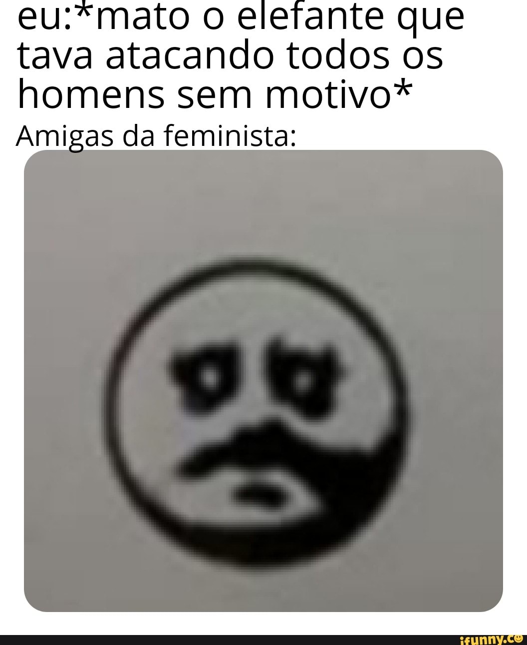 o elefante que tava atacando todos os homens sem motivo*
Amigas da feminista: