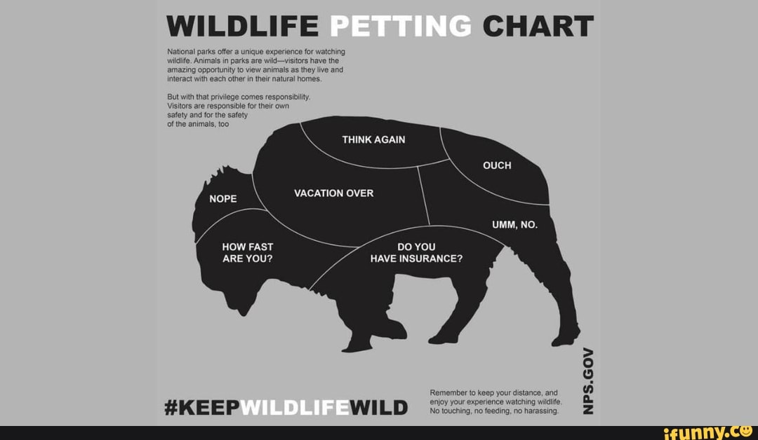 WILDLIFE PETTING CHART 'National parks offer unique experience for