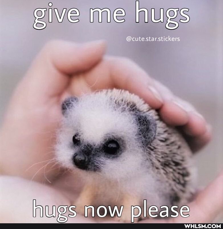 give me hugs
@cute star st chers
hues now please