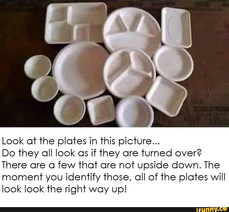 look-at-the-plates-in-this-picture-do-they-all-look-as-if-they-are