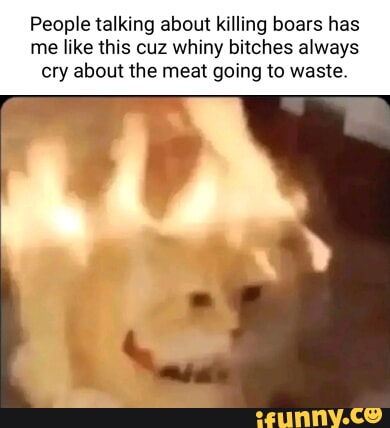 Boars memes. Best Collection of funny Boars pictures on iFunny