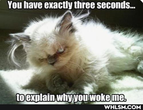 You have exactly three seconds...
