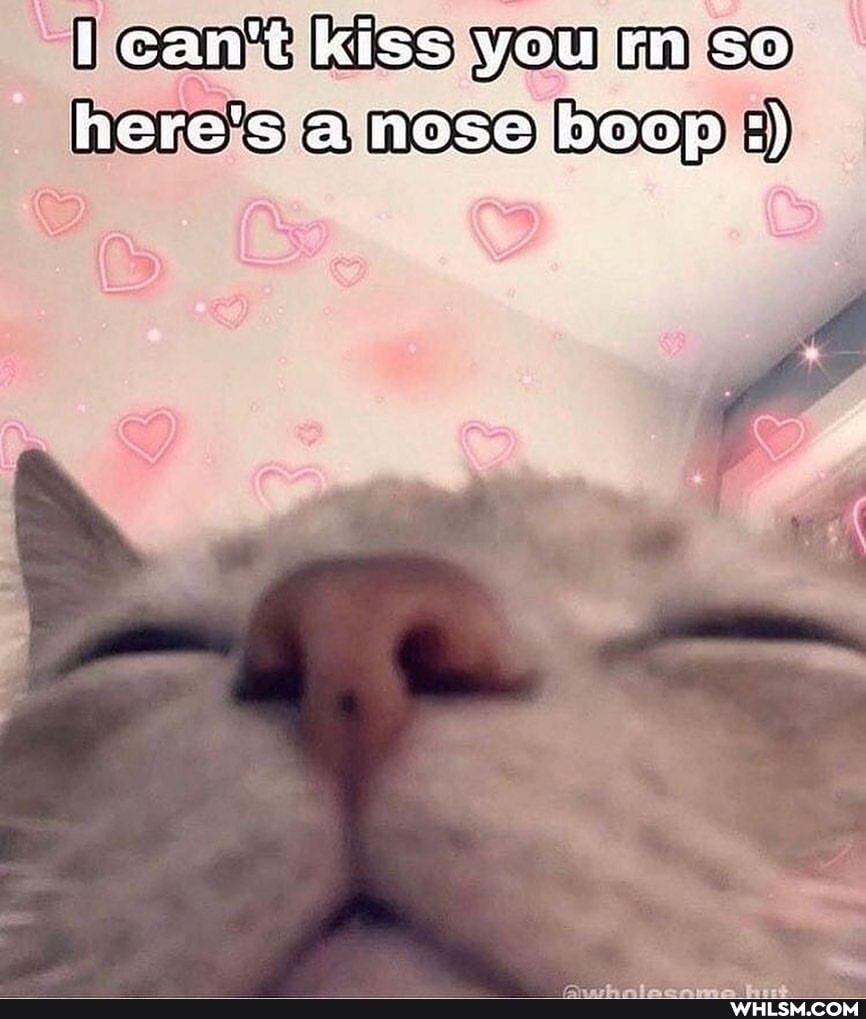 can't Kiss you
HOOD