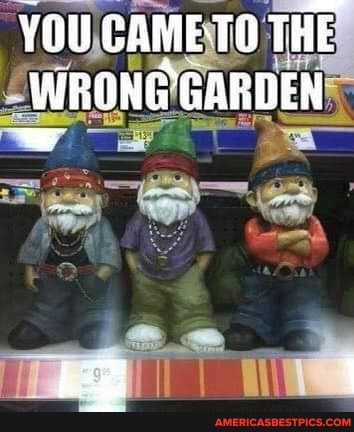 YOU GAMETO THE WEONG GARDEN
