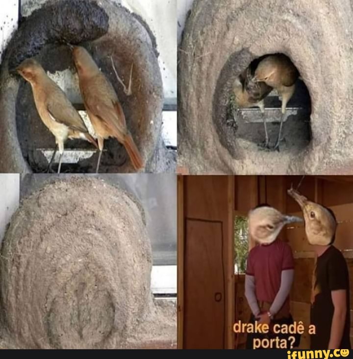drake cad a
porta?