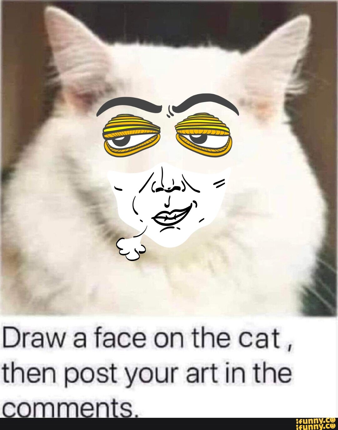 Draw A Face On The Cat Then Post Your Art In The Comments IFunny