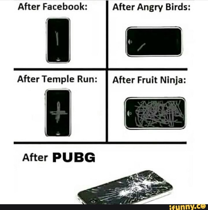 After Facebook: After Angry Birds:
After Fruit Ninja: After Temple Run:
After PUBG