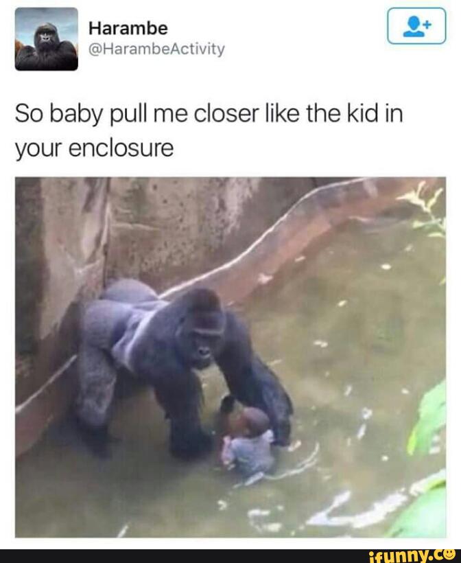 so baby pull me closer like the kid in your enclosure