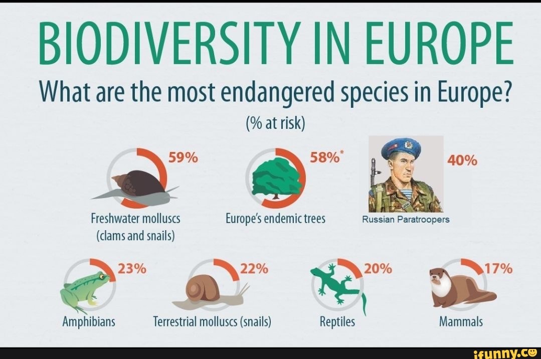 BIODIVERSITY IN EUROPE What are the most endangered species in Europe ...