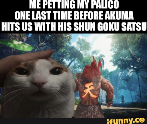 ME PETTING MY PALICO ONE LAST TIME BEFORE AKUMA HITS US WITH HIS SHUN