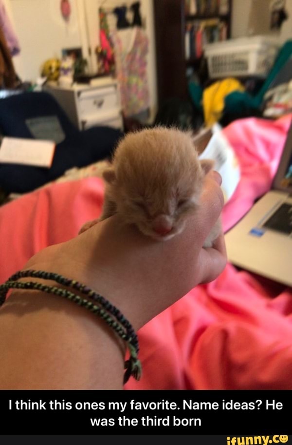 I think this ones my favorite. Name ideas? He was the third born - I think this ones my favorite. Name ideas? He was the third born