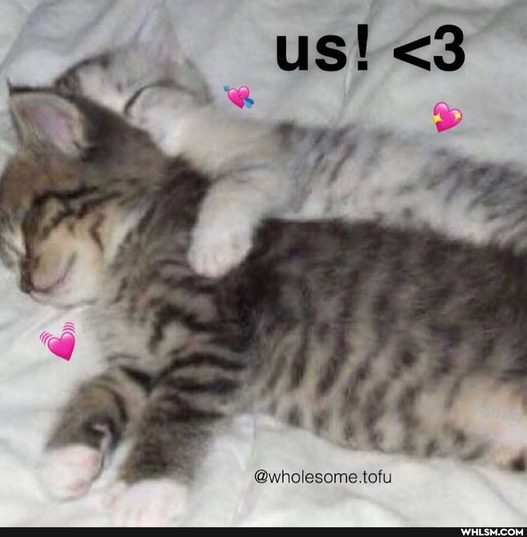 US!
@wholesome.tofu