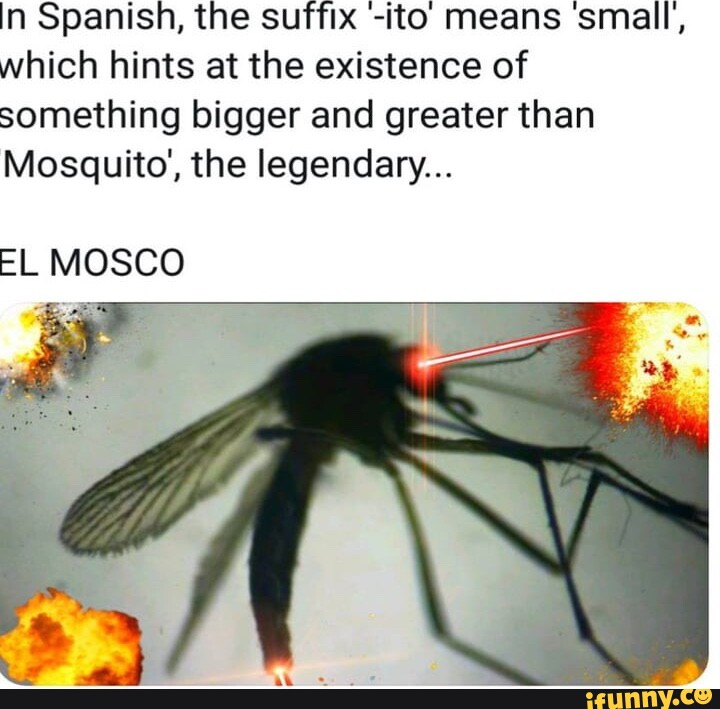 In Spanish, the suffix ito means 'small, which hints at the existence