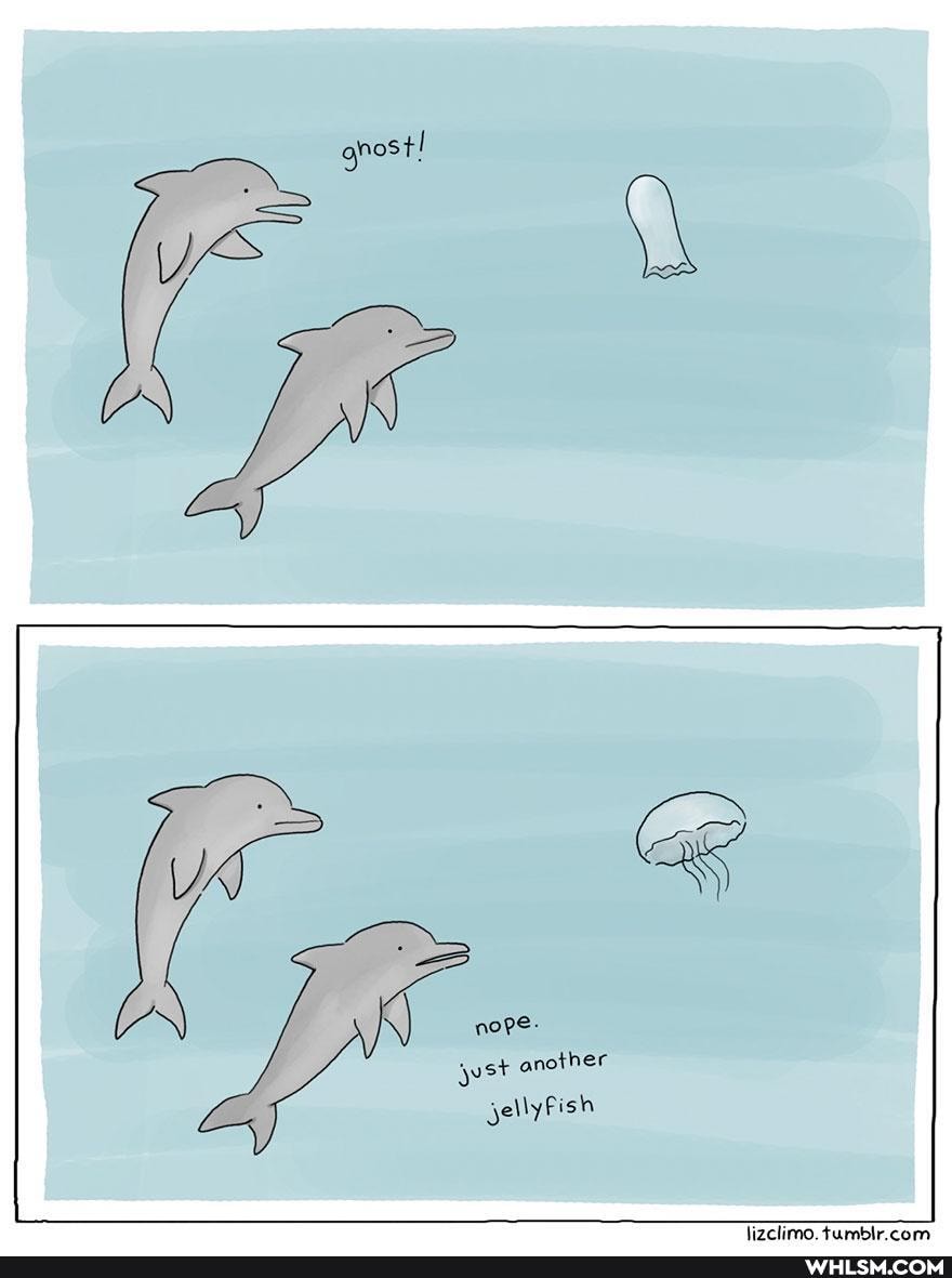 yyst another
jellyfish