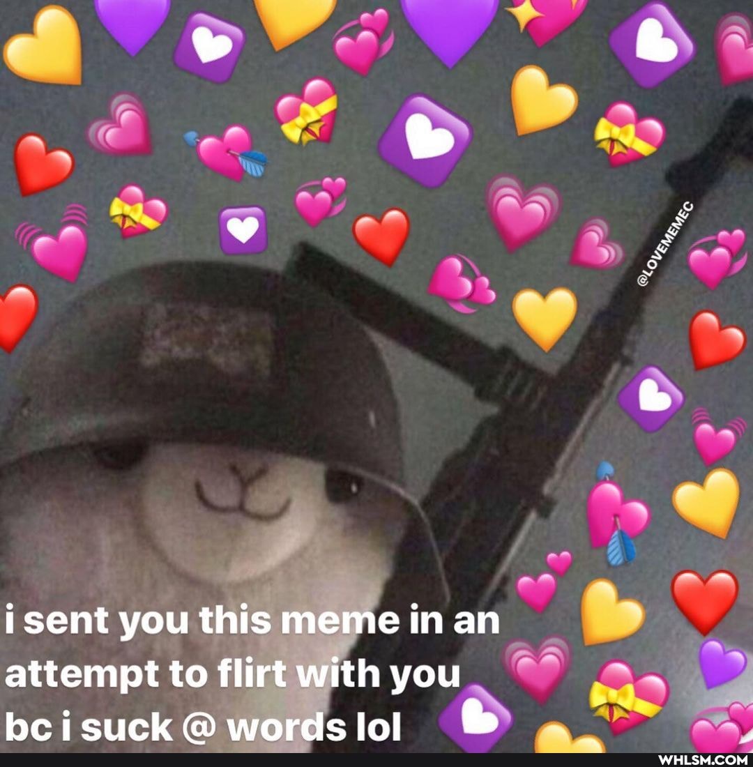 i sent you this meme in an
attempt to flirt with you
