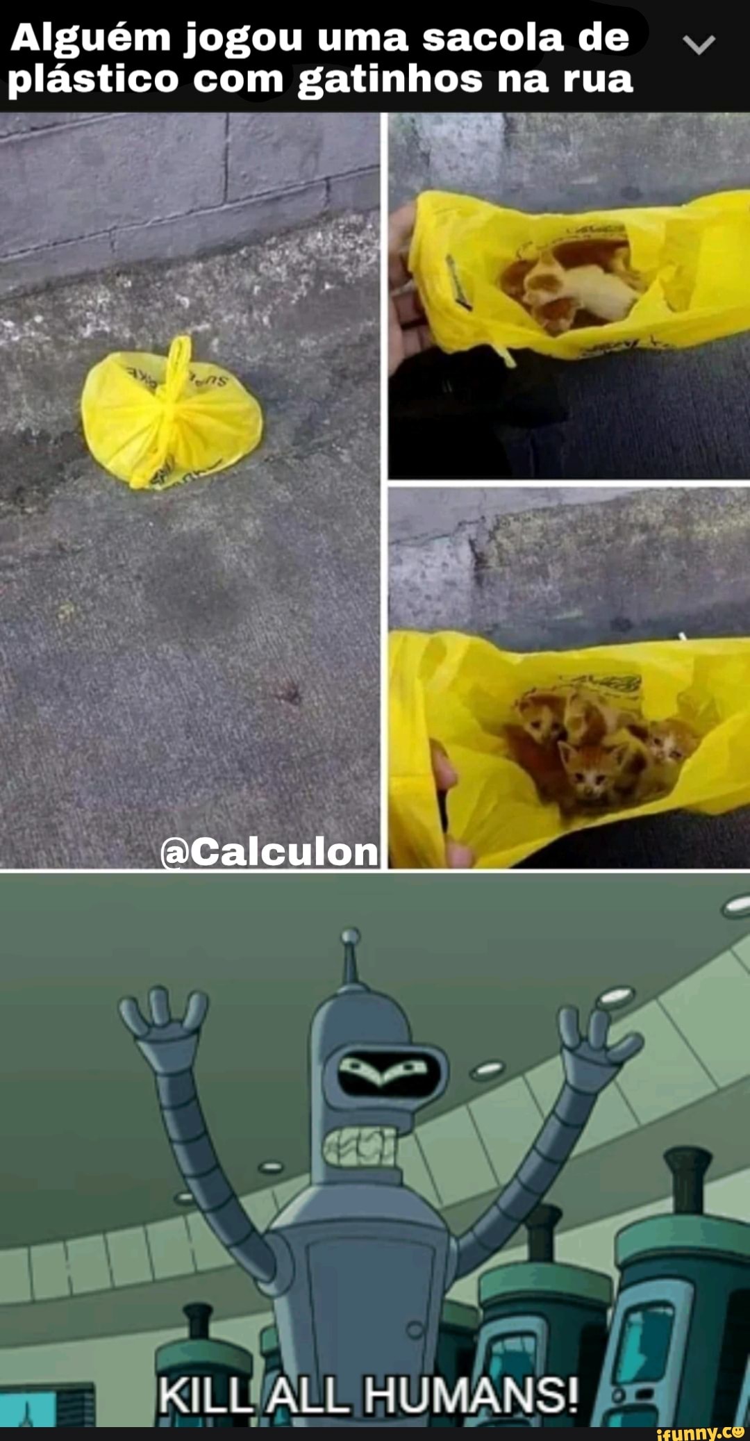 Alguém jogou uma sacola de vy,
plástico com gatinhos na rua