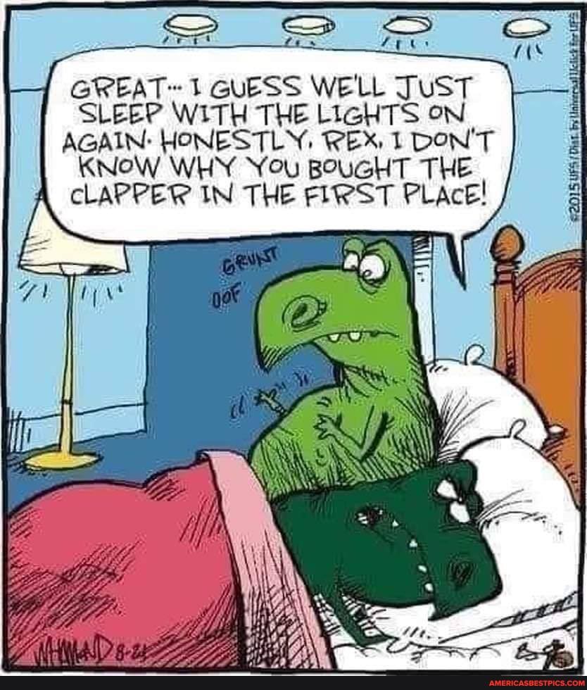 GREAT 1 GUESS WE'LL JUST SLEEP WITH THE LIGHTS ON AGAIN: HONESTLY, REX DON'T KNOW WHY You BOUGHT THE CLAPPER IN THE FIRST PLAcE!
