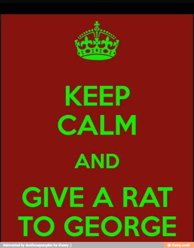 KEEP
CALM
GIVE A RAT
TO GEORGE