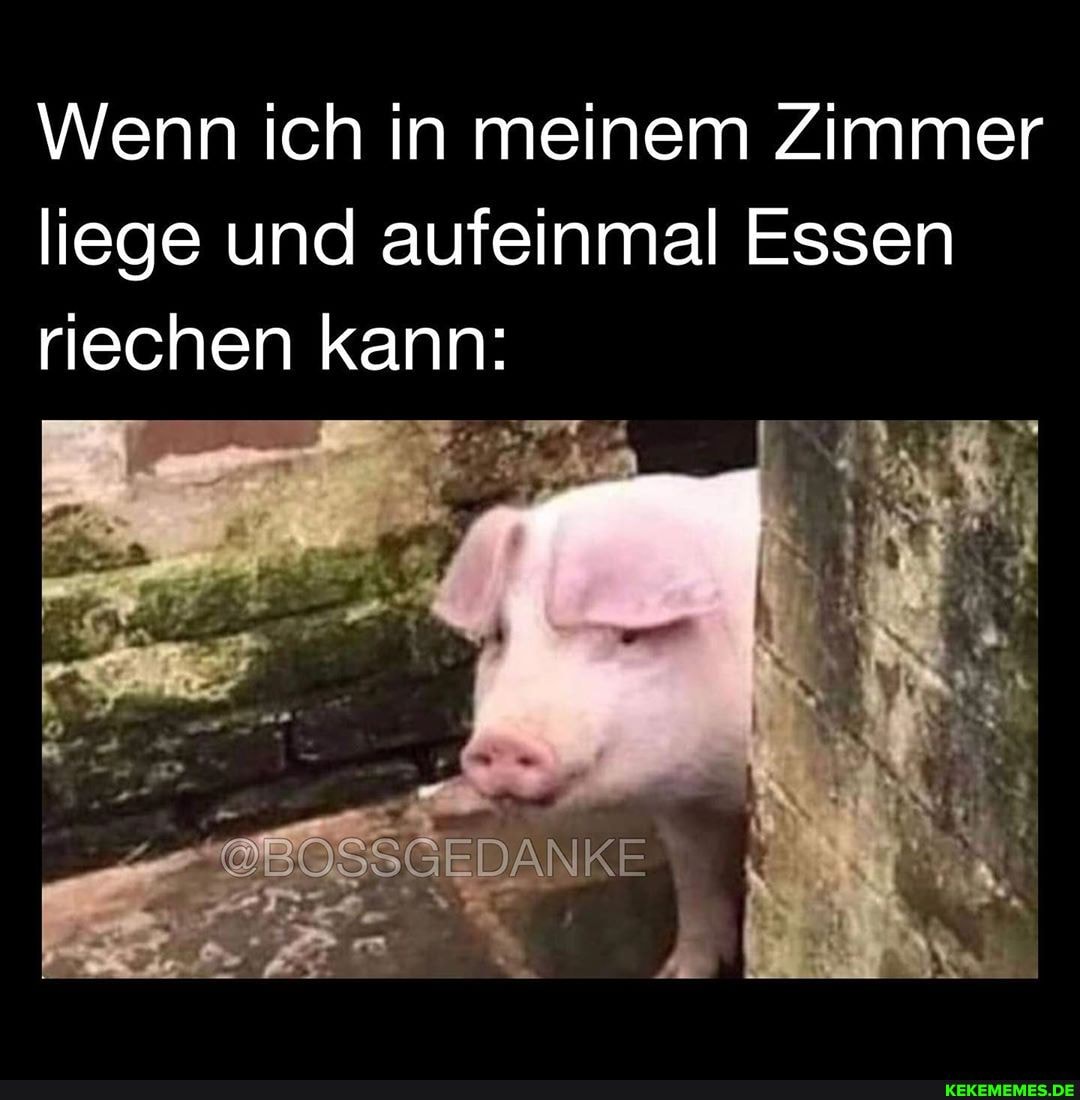 Wenn ich in meinem Zimmer liege und aufeinmal Essen riechen kann:
@BOSSGEDANKE