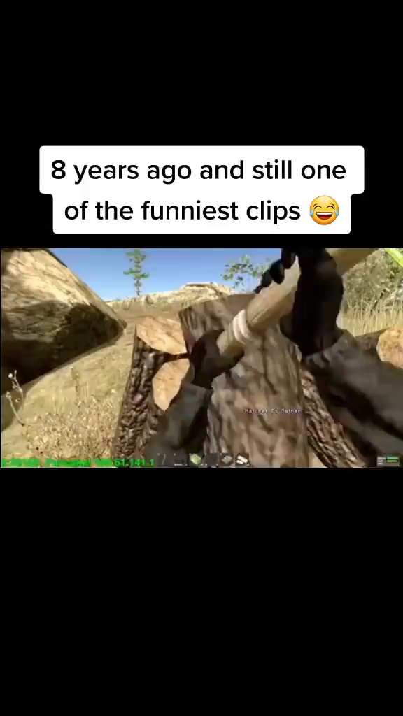 Whitton memes. Best Collection of funny Whitton pictures on iFunny Brazil