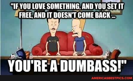 "HE YOU LOVE SOMETHING. AND YOU SET FREE. AND IT DOESN'T COME BACK
YOU'RE A DUMBASST"