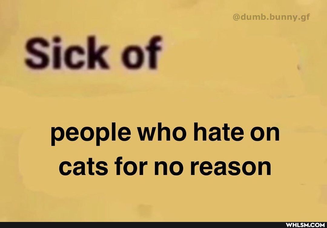 Sick of
people who hate on cats for no reason