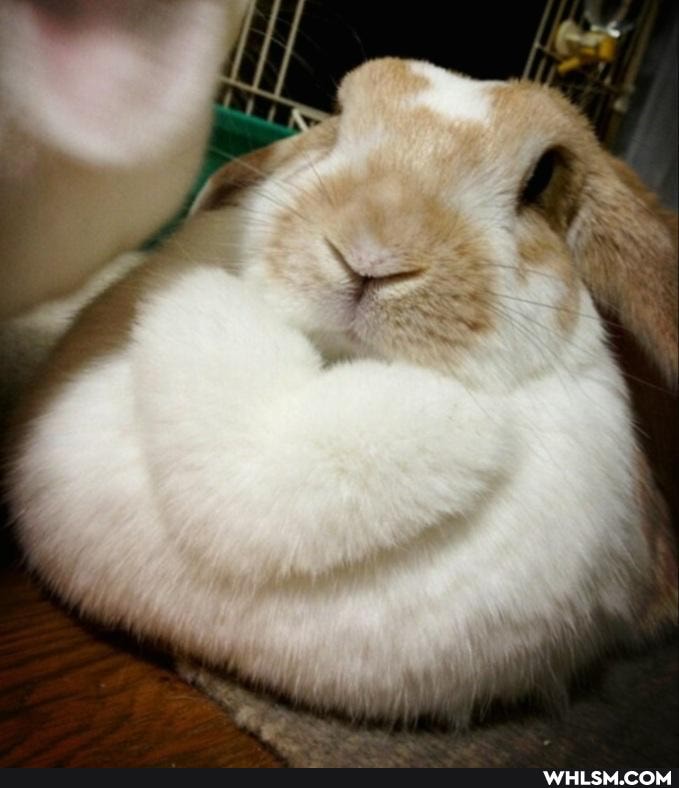 aww, dump, wholesome