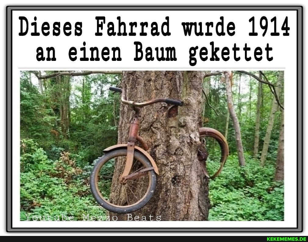 Dieses Fahrrad wurde 1914 an n einen baum gekettet