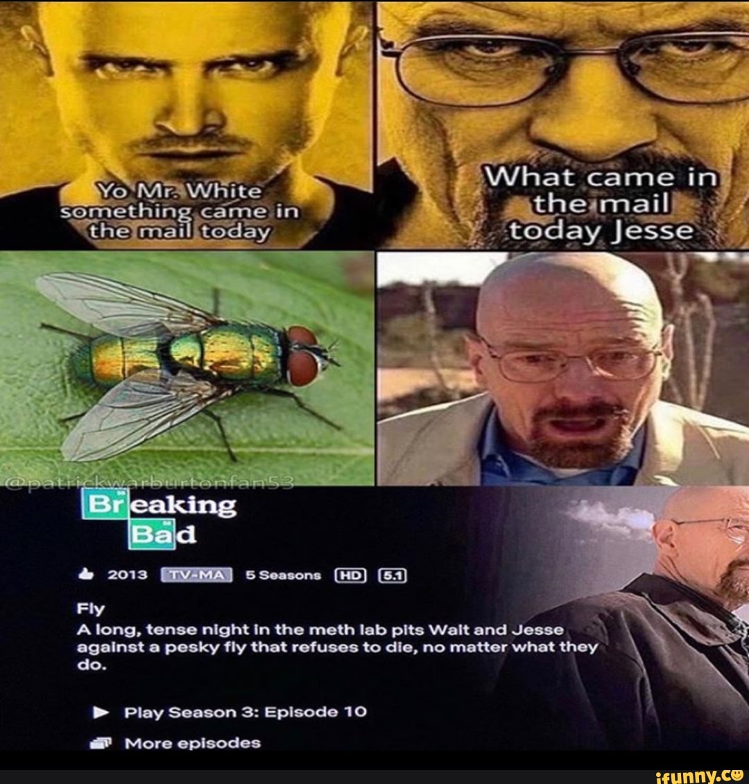 caking
Bald
do.
2013 sseasons (HD)
came
Fly
Along, tense night In the meth lab pits Walt and Jesse
against a pesky fly that refuses to die, no matter what they
Play Season 3: Episode 10
More episodes