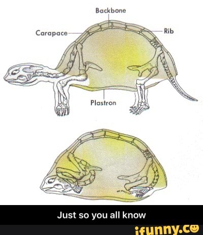 Just so you all know - Just so you all know