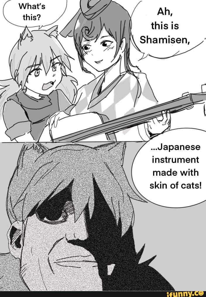 Ah, this is Shamisen, Japanese instrument made with skin of cats! seo