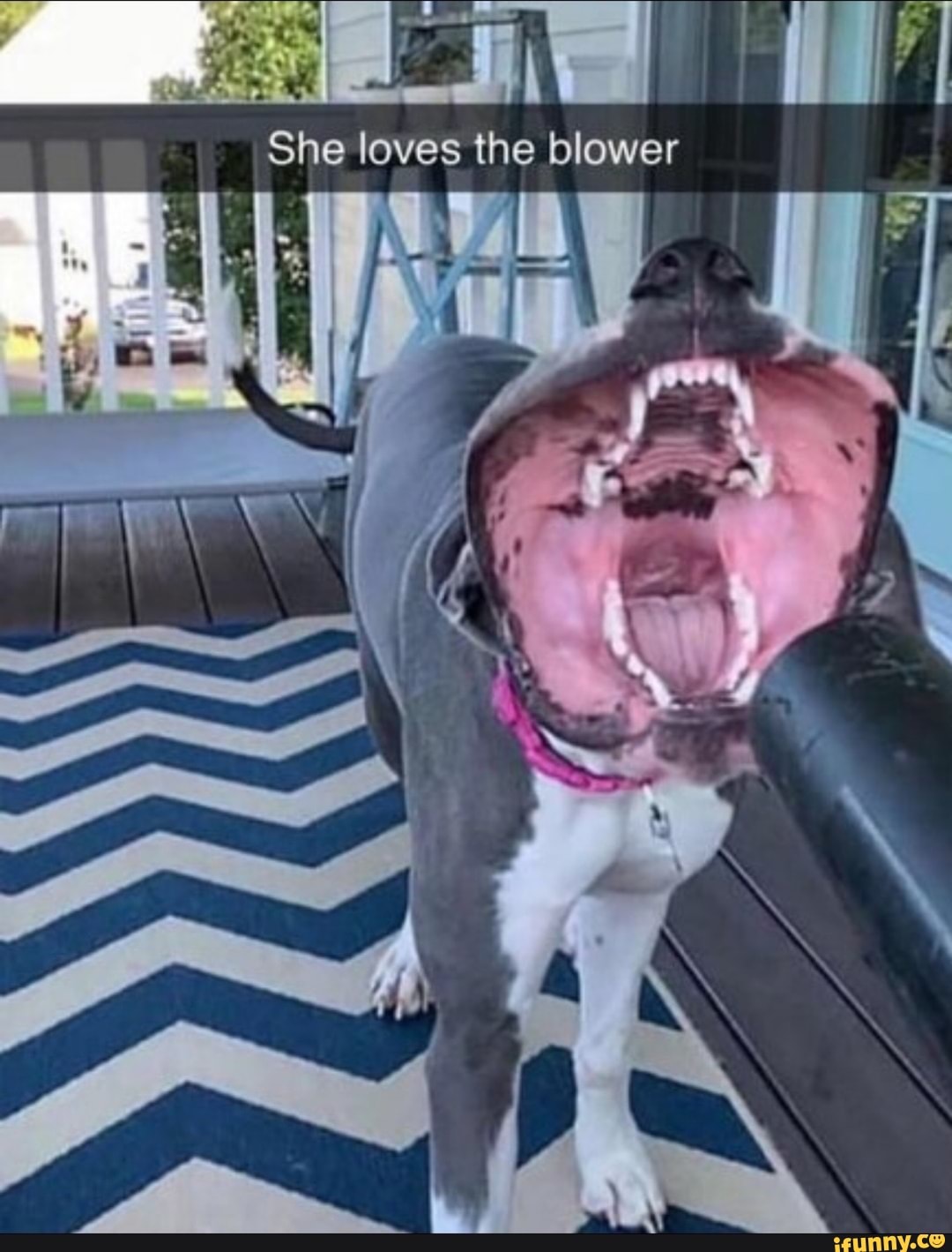 She loves the blower