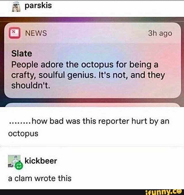 A parskis
Slate
People adore the octopus for being a
crafty, soulful genius. It's not, and they
shouldn't.
EOCICCOS
how bad was this reporter hurt by an
octopus
Bi) kickbeer
a clam wrote this