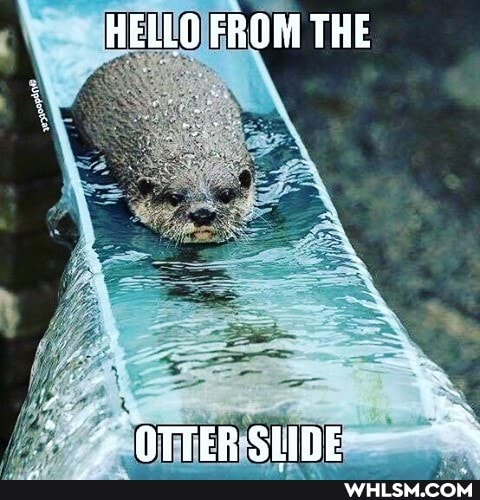 HELLO FROM THE
OTTER SSIME