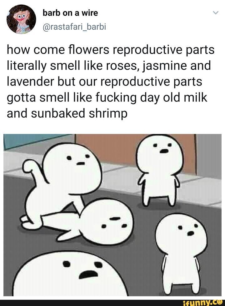 Why does my vagina smell like shrimp