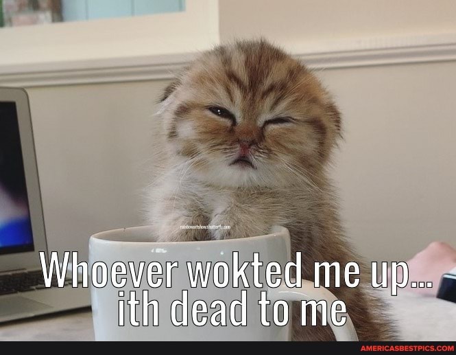Whoever wokted me up...
ith dead to me