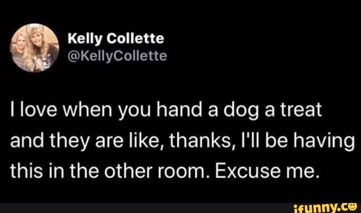 Kelly Collette
love when you hand a dog a treat and they are like, thanks, I'll be having this in the other room. Excuse me.
