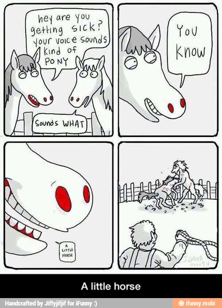 A little horse - A little horse