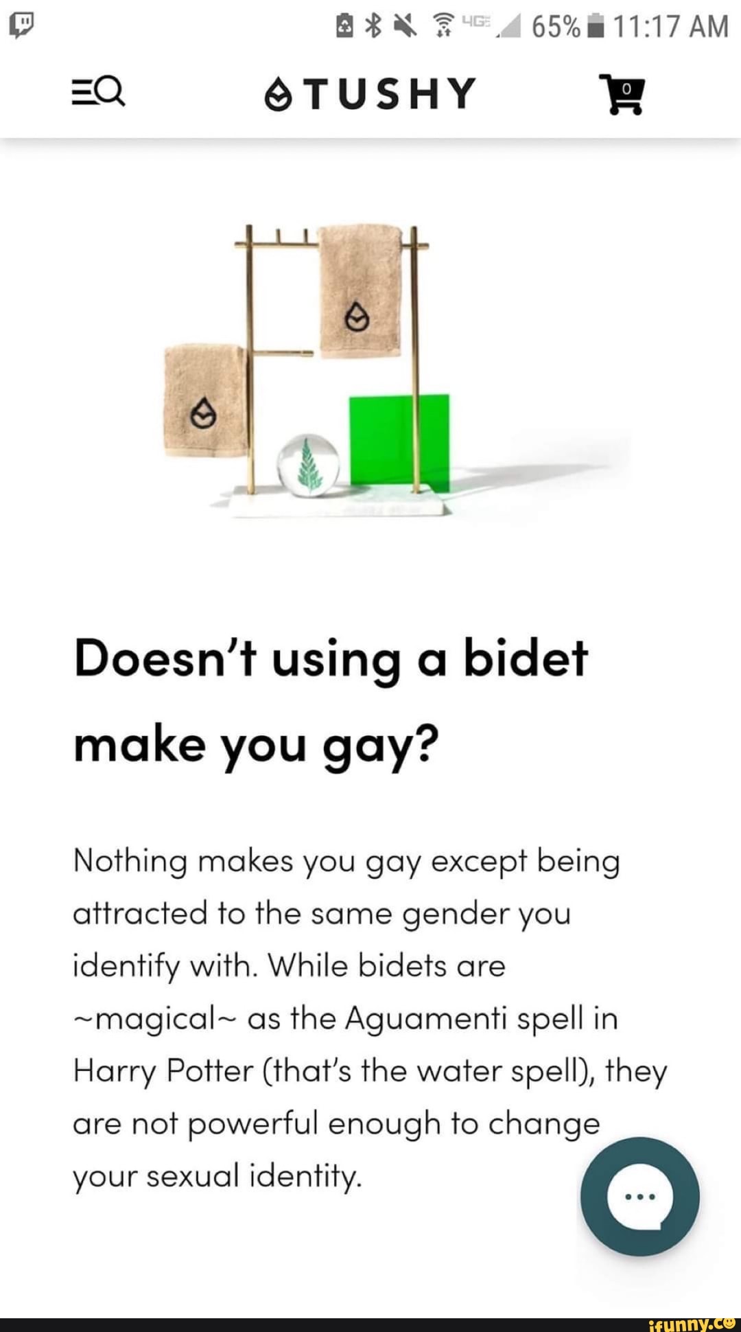 Bidet gay