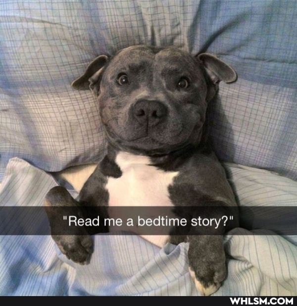 "Read me a bedtime story?"