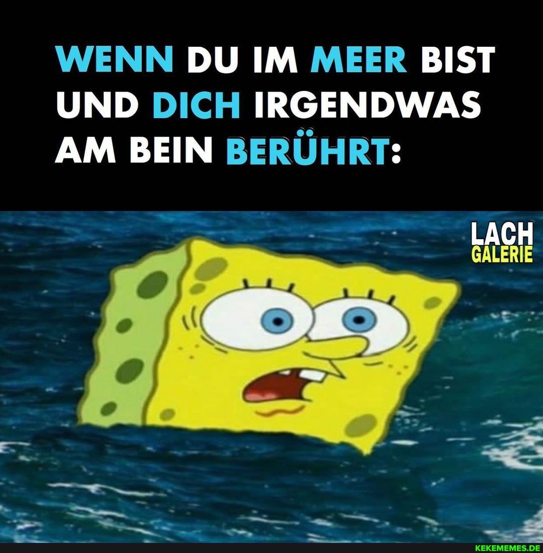 WENN DU IM MEER BIST UND DICH IRGENDWAS AM BEIN BERÜHRTE
- LACH GALERIE