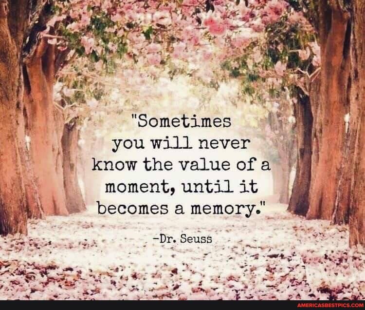 "Sometimes
you will never know the value of
moment, until it becomes a memory."
Se
-Dr. Seuss. -