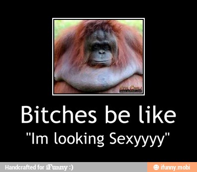 Bitches be like
"Im looking Sexyyyy" - Bitches be like
"Im looking Sexyyyy"