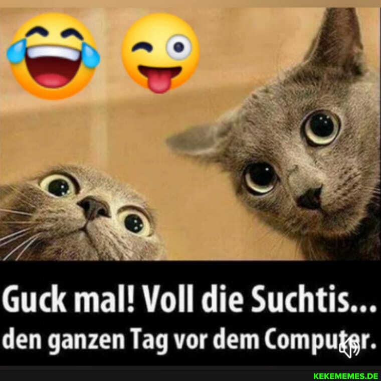 Guck mal! Voll die Suchtis...
den ganzen Tag vor dem Compußgr.